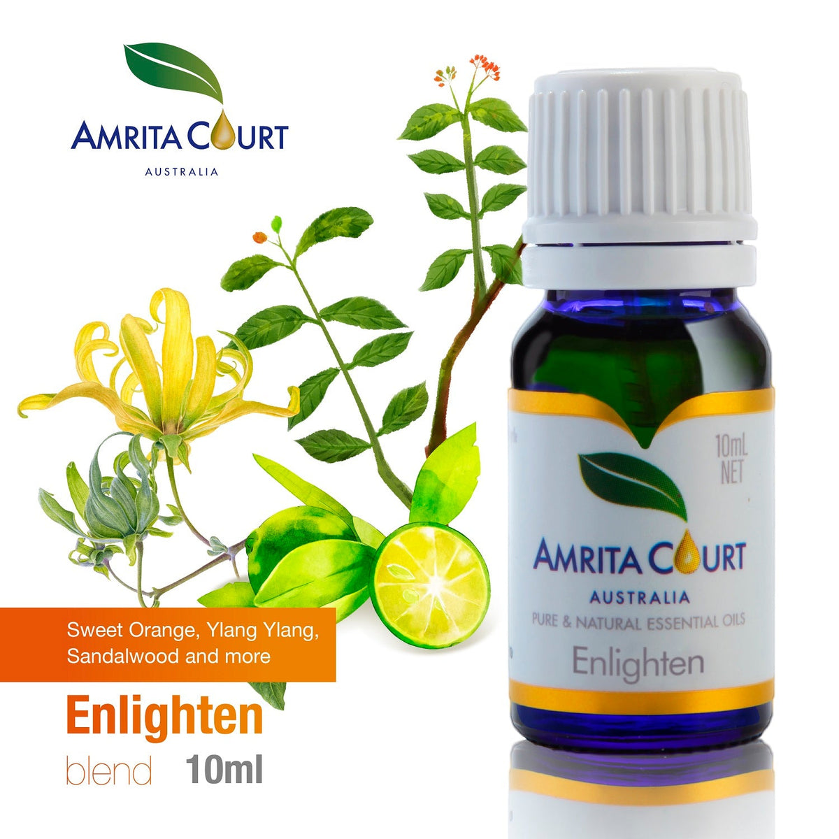 Essential Oil Blends-1