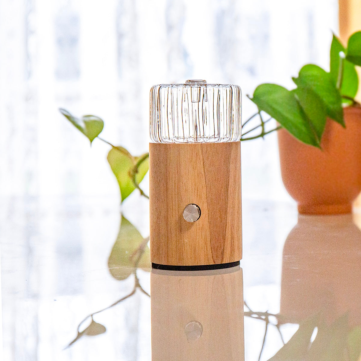 🌿 Outdoor Ritual Bundle | Nova Ezy Portable Diffuser + Essential Oils for Nature & Camping-1